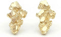 Gold-Tone Earrings