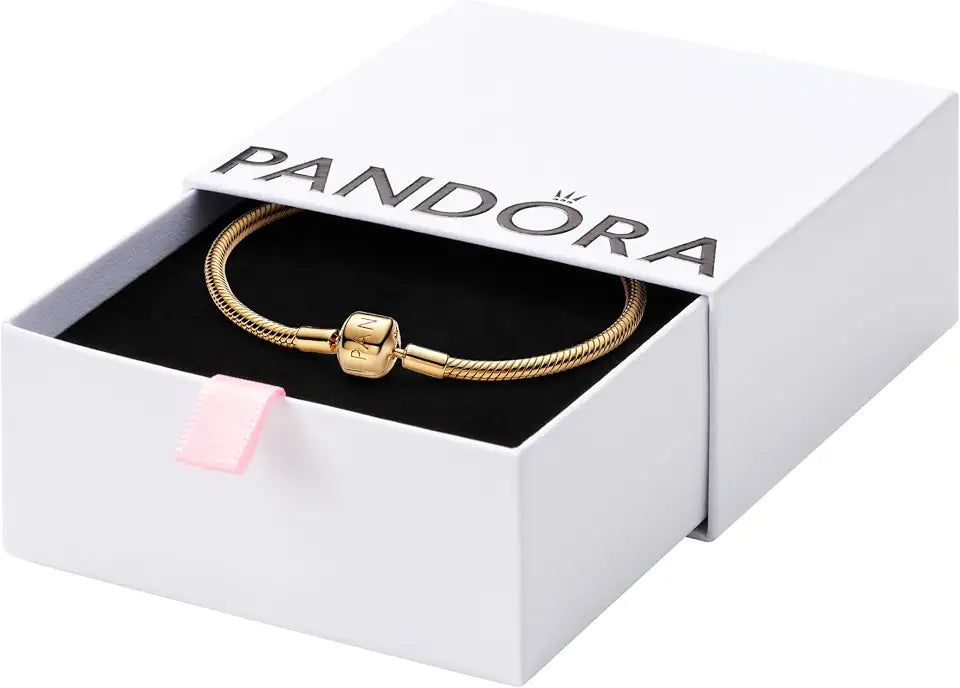 Snake Chain Bracelet