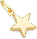 Gold-Tone Star Pendant